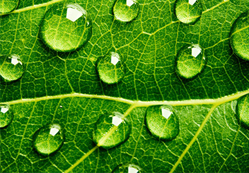 防水企業(yè)家必看：大數(shù)據(jù)時(shí)代來(lái)臨，防水行業(yè)會(huì)有哪些改變v